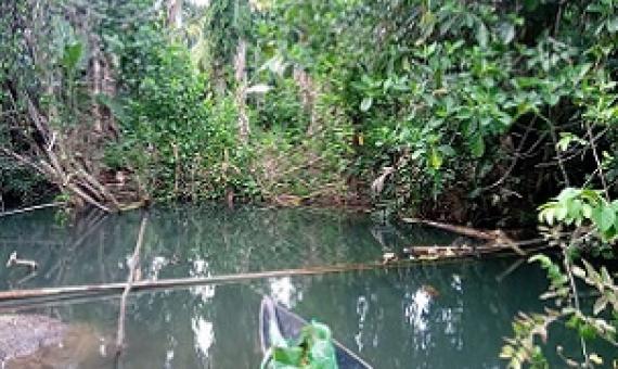 Credit - Moffat Mamu, https://www.solomonstarnews.com/