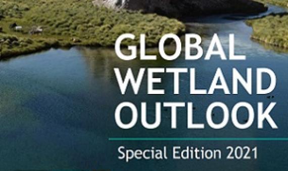 Global Wetland Outlook, Special Edition 2021. Credit - Ramsar Convention Secretariat