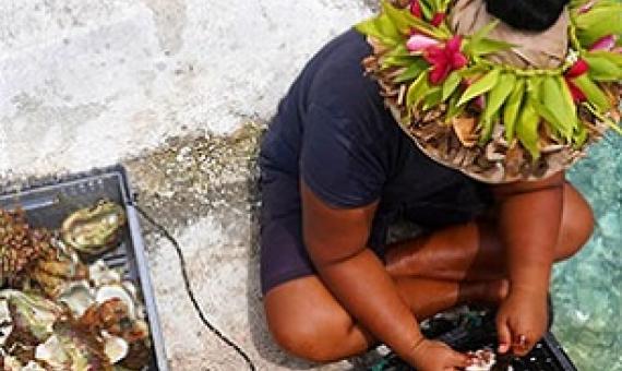 A woman preparing paua on a kaoa in Manihiki. Credit - EMMANUEL SAMOGLOU