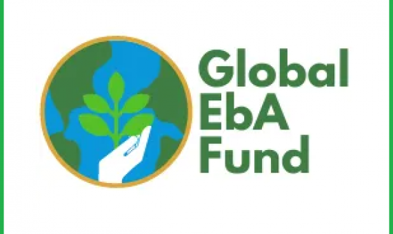 global EBA fund logo