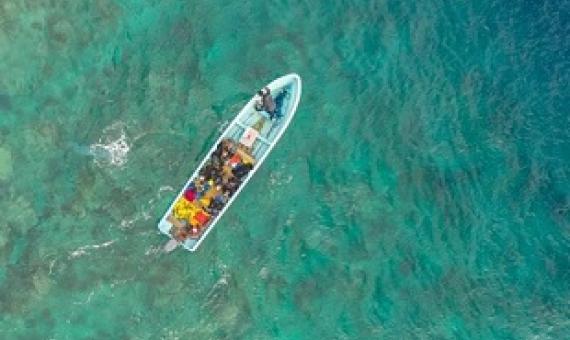 Fiji's Great Sea Reef. Credit - T. Vierus