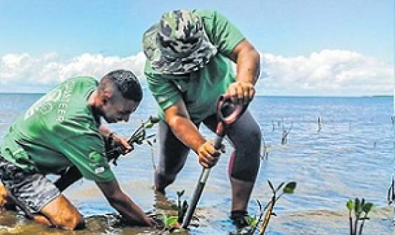 Credit - Fiji Hotel and Tourism Association