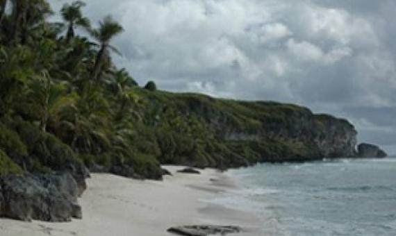Henderson Island. Credit - https://whc.unesco.org/