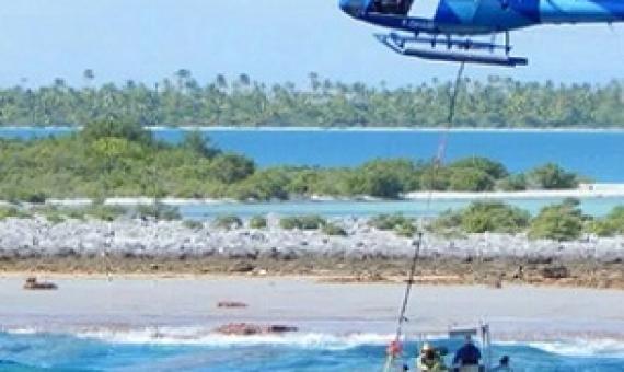 Credit - Birdlife Pacific