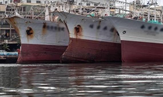 China assigns first on-board observers to distant-water fishing vessel. Credit - www.seafoodsource.com