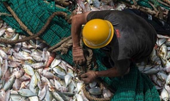 Fisherman on board a Chinese fishing boat hauling the net. Image © Pierre Gleizes / Greenpeace.