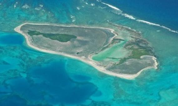 The study suggests that the island is built from sediment generated by the surrounding coral reef, such as from crushed up dead coral, weathered shells and dried-up microorganisms. (Dan Polhemus/U.S. Fish and Wildlife Service via Flickr under CC BY-NC 2.0)