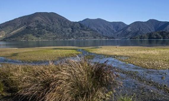 Kenepuru Sound, South Island, New Zealand. Photo: EDS