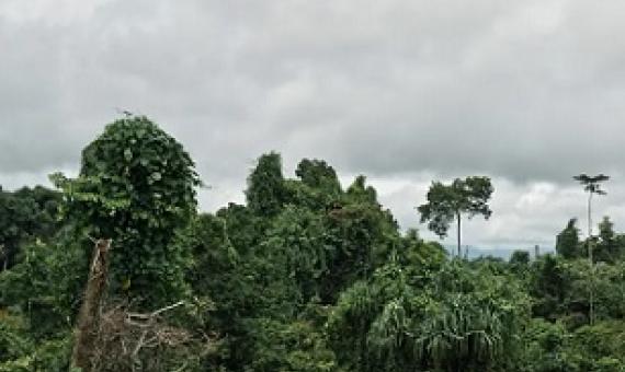 Credit - Riccardo Testolin/Getty Images