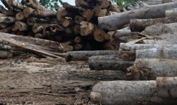 Credit - Hilaire Bule