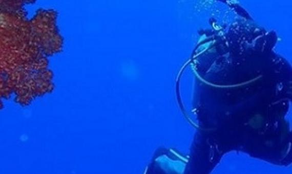 Source - https://fijisun.com.fj/