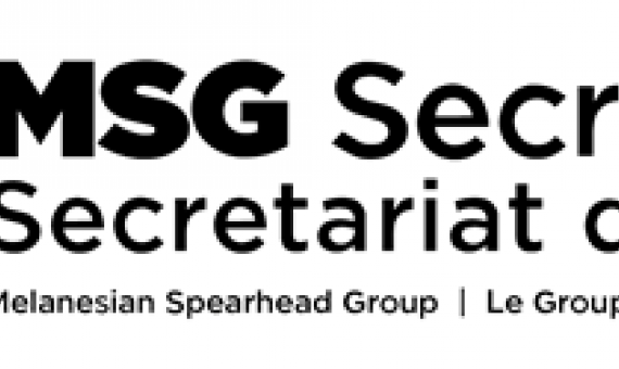 MSG Secretariat logo