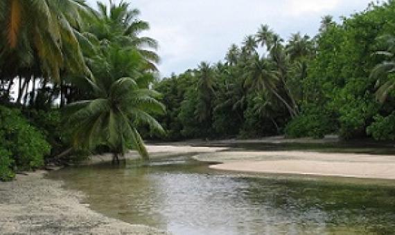 Madmad Island, Namdrik Atoll, Marshall Islands. Credit - V. Jungblut