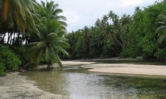 Madmad Island, Namdrik Atoll, Marshall Islands. Credit - V. Jungblut