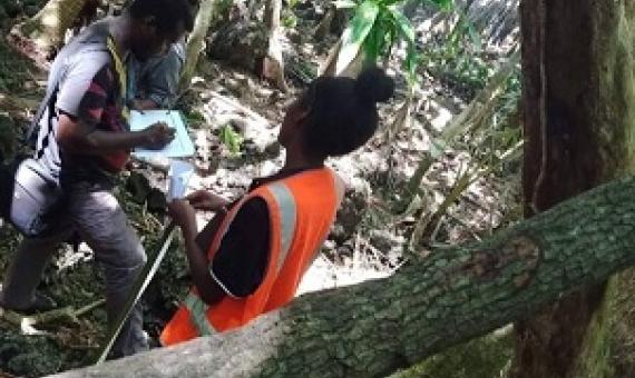 Credit - https://www.einnews.com/