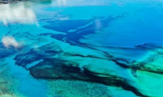 Around 1,000 tonnes of oil have leaked from the MV Wakashio off Mauritius since 6 August.Credit: Pierre Dalais/EPA-EFE/Shutterstock