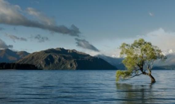 Microsoft is building a ‘Planetary Computer’ to preserve biodiversity around the world