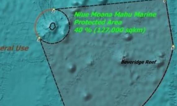 Niue formalises one of largest marine reserves in world