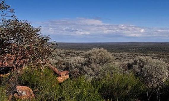 Art site walk, Mount Grenfell Historic Site. Credit - Jenna Hore