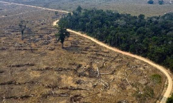 Human activity has already severely degrated three quarters of land on Earth. Source - Phys.org