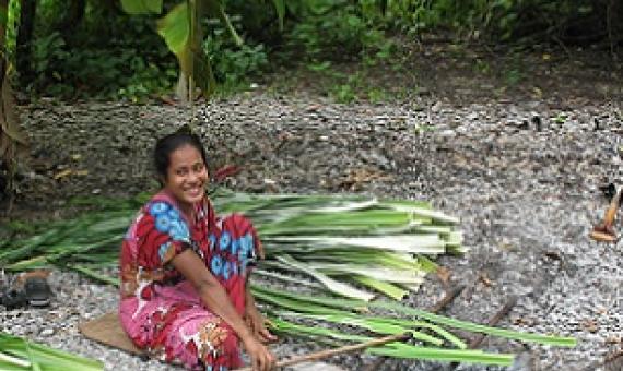 Credit - V. Jungblut