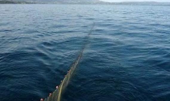 Ocean 'conservation zones' would slow down climate change as well as benefitting fishing communities, experts say. Source - https://uk.news.yahoo.com/ 