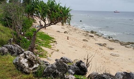 Credit - V. Jungblut