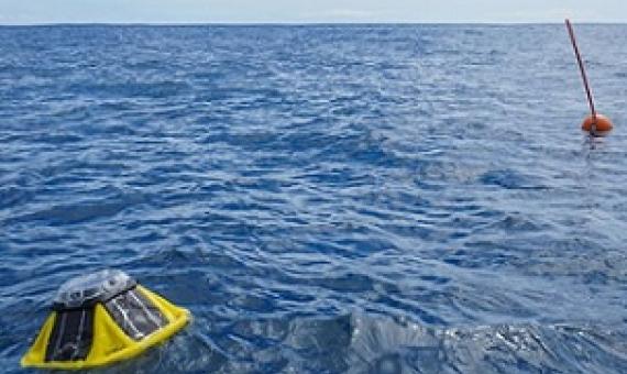 The marine monitoring equipment is located east of Avarua harbour approximately 300 metres from the reef. SUPPLIED/21043042