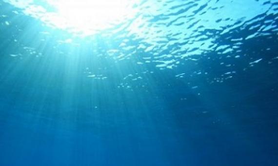 Rebuilding marine life