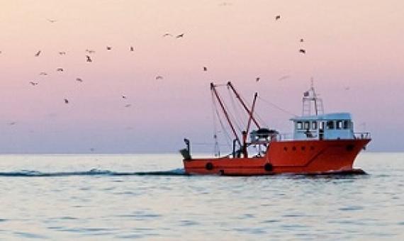 Can countries end overfishing and plastic pollution in just 10 years? - Credit: Artem Mishukov/Shutterstock