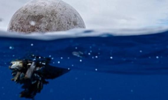 Credit - The Ocean Cleanup