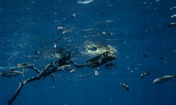 Credit - https://www.vice.com/