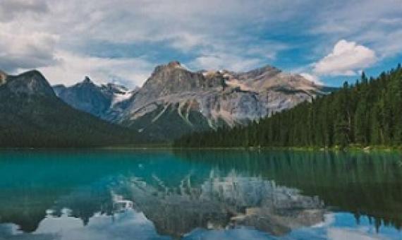 Credit: Unsplash/CC0 Public Domain