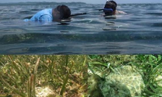 Ngermedellim Marine Sanctuary. Credit - picrc.org