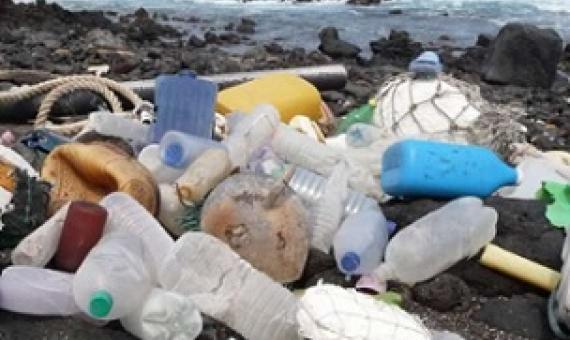 Ascension Island in the South Atlantic Ocean is yet another remote island littered in plastic waste. Credit: Marcus Eriksen