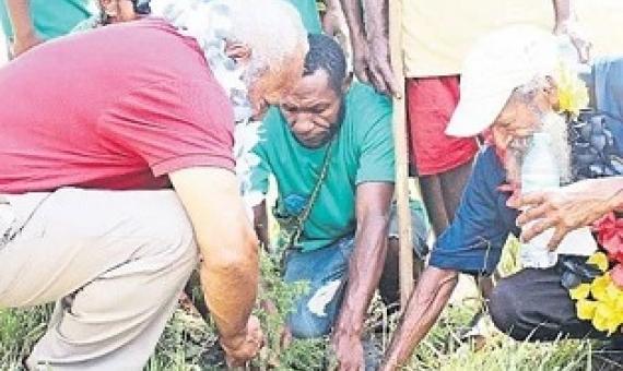 Forest under threat. credit - Pisai Gumar