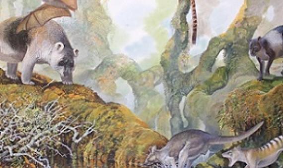 Credit: Peter Schouten (End of the Megafauna)