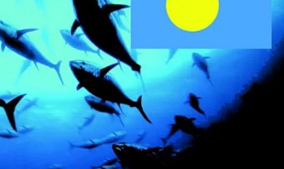 Palau national marine sanctuary. Credit - Leilani Reklai, https://islandtimes.org/