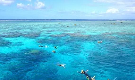 Great Barrier Reef, Australia. source - https://www.zmescience.com
