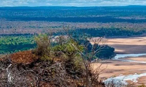 Gonarezhou national park, Zimbabwe, home to about 11,000 elephants, could benefit from the new Legacy Landscapes Fund. Photograph: EyeEm/Alamy