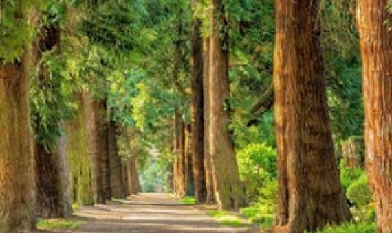 Public places. Credit - CC0 public Domain