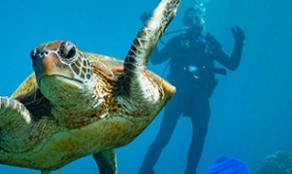 Partially protected areas are often proposed as a way to bolster marine life and to improve people’s enjoyment of the ocean—neither of which seems to be happening. Photo by Kai Egan/Alamy Stock Photo