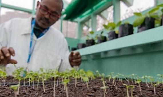 SPCs new Plant Health Lab (PHL). Credit - SPC