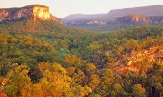 Carnarvon national park, one of two parks bordering the area where Australia’s largest east coast gas producer wants to drill up to 7,700 new wells. Photograph: Auscape/UIG via Getty Images