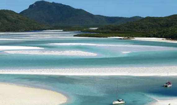 Last week two tourists were attacked by a shark while snorkelling in the Whitsundays, Great Barrier Reef. Photograph: Chris McLennan/Tourism and Events Queensland