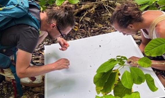 Credit - David Helvarg