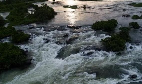 Rivers are key to restoring the world’s biodiversity. Credit - Eli Reichman