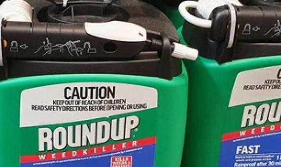 Glyphosate is the key ingredient in Roundup, which is one the biggest selling weedkillers in the world.(ABC Far North: Phil Brandel)