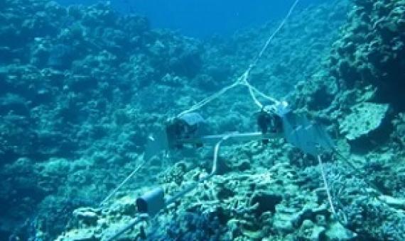 Cameras deployed across Rowley Shoals capture changes to the reefs across time. Photograph: Matt Birt BRUV
