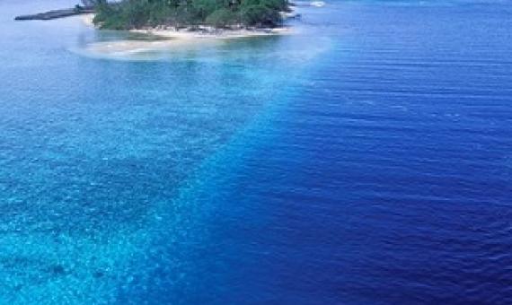 French Polynesia announces huge marine sanctuary. Photo: AFP / Photononstop